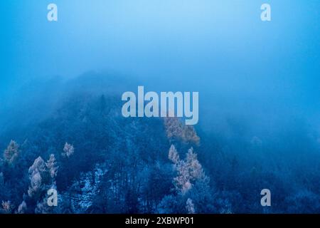 paysage, nature, brouillard, lac, arbres, forêt, montagne, thriller, crime, effrayant, prévisions météo, bulletin météo, fond d'écran, réserve naturelle, vue Banque D'Images