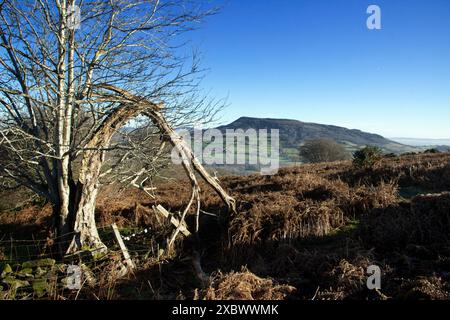 Ysgyryd Fawr, Skirrid Fawr, souvent juste Skirrid, est une aberration des montagnes noires à Bannau Brycheiniog, le parc national de Brecon Beacons Banque D'Images