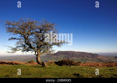 Ysgyryd Fawr, Skirrid Fawr, souvent juste Skirrid, est une aberration des montagnes noires à Bannau Brycheiniog, le parc national de Brecon Beacons Banque D'Images