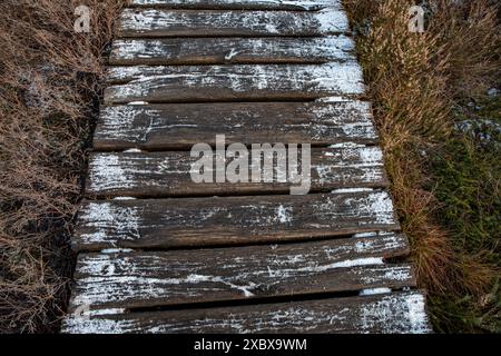 chemin, promenade, rhön, franconie, allemagne, hiver, chemin en bois, forêt Banque D'Images