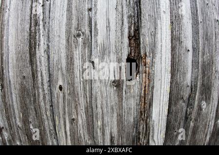 fond en bois, séché, grungy, vintage, rétro, vieux, décoratif, planche, motif, mur, structure Banque D'Images