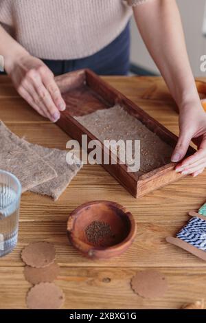 Femme plantant des graines dans une boîte en bois, cultivant des microgreens à la maison Banque D'Images