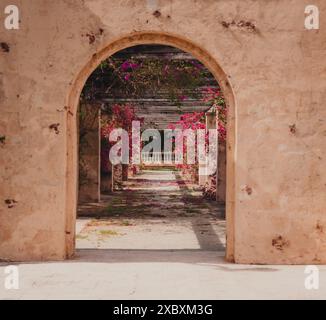 Entrée voûtée menant à une pergola couverte de fleurs dans un jardin historique. Banque D'Images