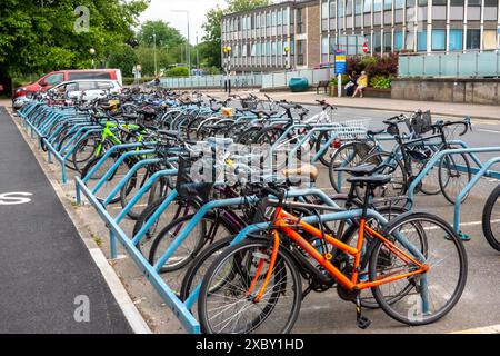 Rangées de vélos garées dans des supports à vélos à l'extérieur de l'hôpital Addenbrookes Banque D'Images