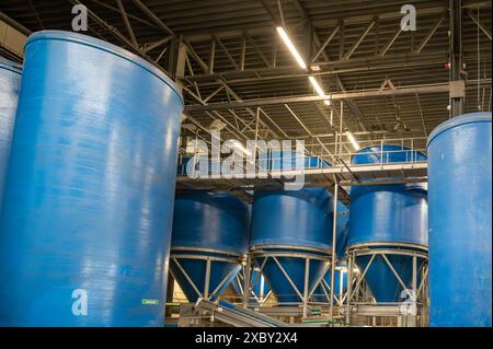 Équipement de transformation des légumes frais après récolte, stockage, tri, lavage, coupe, emballage, agriculture aux pays-Bas Banque D'Images
