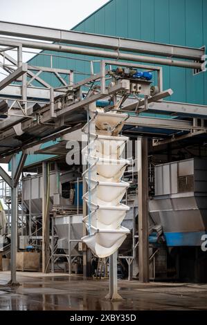 Équipement de transformation des légumes frais après récolte, stockage, tri, lavage, coupe, emballage, agriculture aux pays-Bas Banque D'Images