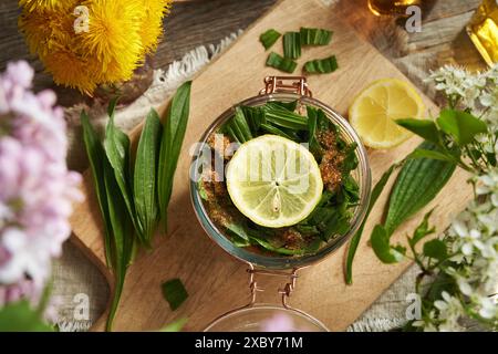 Fabrication de sirop de plantain Ribwort pour la toux à partir de feuilles fraîches, de sucre et de citron, vue de dessus Banque D'Images