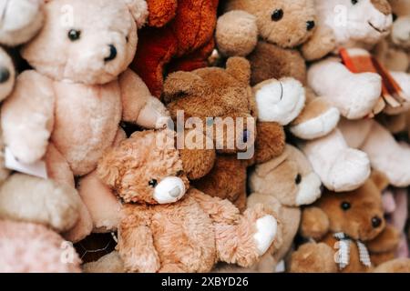 Fond de jouets Soft Bears dans les tons brun, blanc, beige et gris. Teddy Bears texture. Symbole de l'enfance et du confort. Ensemble ours blanc, beige, marron. Banque D'Images