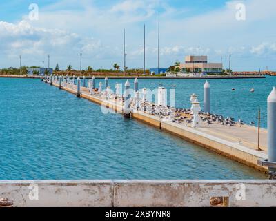 Cuba. Varadero. Marina abandonnée à moitié vide. Port de plaisance vide avec vue sur l'océan, journée ensoleillée avec ciel bleu et nuages légers. Jetée vue sur la mer avec mouettes à la jetée près du bateau blanc à la journée ensoleillée à Cuba Banque D'Images