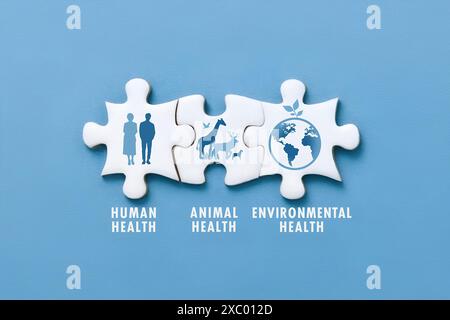 Pièces de puzzle sur fond bleu avec icône, les mots symbolisent l'interconnexion de la santé humaine, de la santé animale et de la santé environnementale Banque D'Images