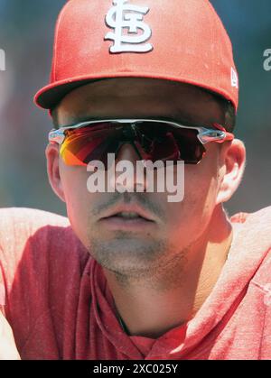 Louis, États-Unis. 13 juin 2024. Louis Cardinals blessé outfielder Lars Nootbaar regarde son équipe affronter les Pirates de Pittsburgh au Busch Stadium à formé Louis le jeudi 13 juin 2024. Photo de Bill Greenblatt/UPI crédit : UPI/Alamy Live News Banque D'Images
