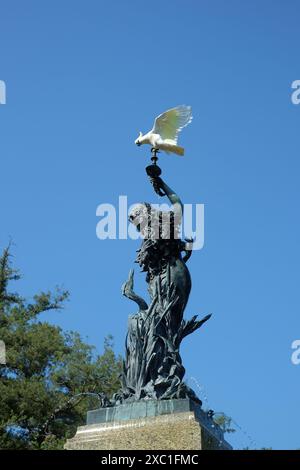 Dans les jardins botaniques royaux de Sydney, un cacatoès à crête de soufre s'élève à l'élaborée fontaine Lewis Wolfe Levy, une fontaine d'eau potable sculpturale Banque D'Images