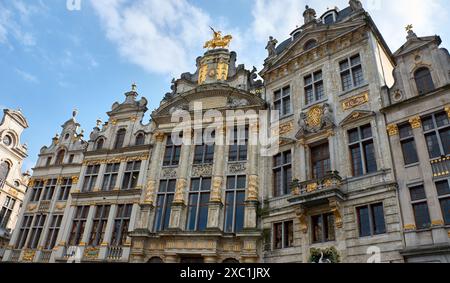 Architecture classique sur la Grand place à Bruxelles. Il est entouré de maisons de guilde opulentes et de deux bâtiments plus grands, l'Hôtel de ville et le Bread Ho Banque D'Images