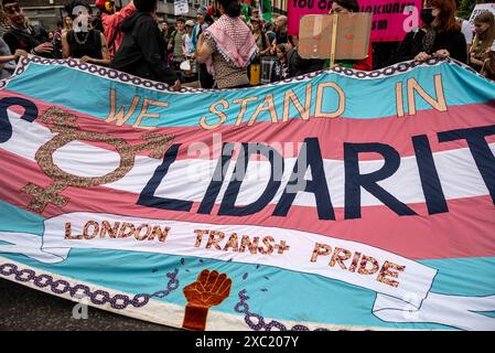 Bannière TRANS People 'Stand in Solidarity with Israel', manifestation pro-palestinienne dans le centre de Londres le 08/06/2024, Londres, Angleterre, Royaume-Uni Banque D'Images