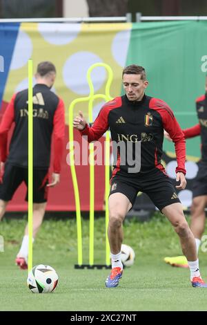 Freiberg, Allemagne. 14 juin 2024. Le belge Timothy Castagne photographié lors d'une séance d'entraînement de l'équipe nationale belge de football Red Devils, vendredi 14 juin 2024 dans son camp de base à Freiberg am Neckar, Allemagne, en préparation des Championnats d'Europe de football UEFA Euro 2024. Les Red Devils jouent dans le groupe F aux Championnats d'Europe Euro 2024 en Allemagne. BELGA PHOTO BRUNO FAHY crédit : Belga News Agency/Alamy Live News Banque D'Images