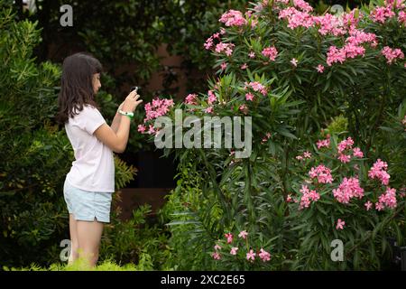 Jeune fille photographiant des fleurs de laurier rose en fleurs dans un jardin. Banque D'Images