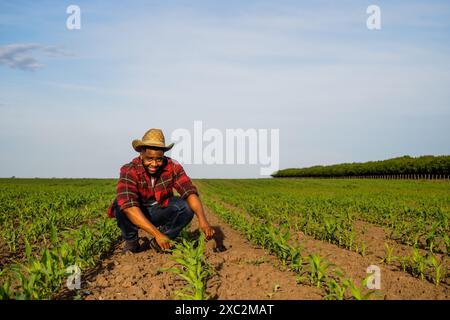 Un jeune agriculteur examine les récoltes dans son champ de maïs en pleine croissance. Banque D'Images