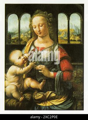 LÉONARD DE VINCI. MADONNA MIT DER NELKE. 1472-1478. OL AUF HOLZ. 62 X 74,5 CM Banque D'Images