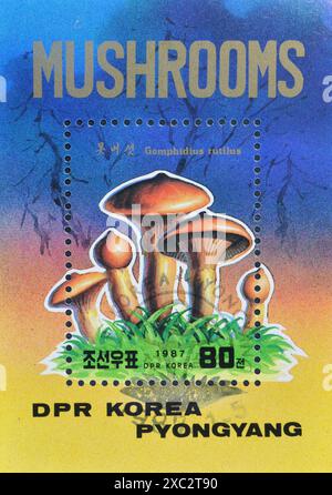 Bloc-feuillet avec timbre-poste oblitéré imprimé par la Corée du Nord, qui montre le champignon Gomphidius rutilus, vers 1987. Banque D'Images