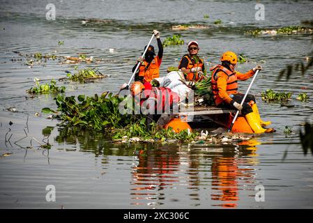 PROCESSUS DE NETTOYAGE DES DÉCHETS CITARUM les résidents et les agents travaillent ensemble pour nettoyer les ordures qui se sont accumulées dans le chenal de la rivière Citarum à Batujajar, West Bandung Regency, West Java, Indonésie 14 juin 2024. Selon les données de l'Agence provinciale de l'environnement et des forêts de Java occidental DLHK, les ordures qui se sont déposées depuis vendredi 7/6/2024 dans la rivière Citarum dans la région de Batujajar ont une longueur de 3 kilomètres et une largeur de 60 mètres et un volume estimé à plus de 100 tonnes de déchets plastiques. IMAGO/KHAIRIZAL MARIS Bandung West Java Indonesia Copyright : xKharizalxMarisxKhairizalxMarisx Banque D'Images