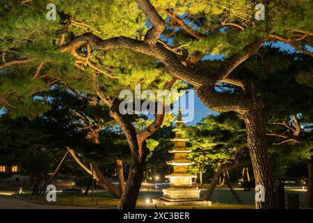 Nuit du palais de Changgyeonggung, jardin traditionnel à Séoul, Corée Banque D'Images