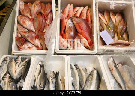 Billingsgate Fish Market à Londres, Royaume-Uni.Vivaneau rouge et basse européenne (labrax). Banque D'Images