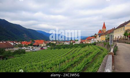 Weissenkirchen - Vallée de la Wachau, basse-Autriche 25-05-24. La région est connue pour son vin produit localement et regorge de vignobles. C'est une ville pittoresque Banque D'Images