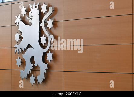 Erfurt, Allemagne. 14 juin 2024. Les armoiries de l'État dans la salle plénière du parlement de l'État de Thuringe. Les élections d'État se tiendront en Thuringe le 1er septembre 2024. Crédit : Martin Schutt/dpa/Alamy Live News Banque D'Images