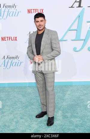 Los Angeles, Californie, États-Unis. 13 juin 2024. Zac Efron assiste à la première à Los Angeles de 'A Family Affair' de Netflix au Egyptian Theatre Hollywood le 13 juin 2024 à Los Angeles, Californie. Crédit : Jeffrey Mayer/Media Punch/Alamy Live News Banque D'Images