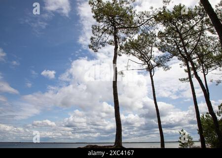 Plage du lac avec eau bleue et ciel à carcans Bombannes en Gironde france Banque D'Images