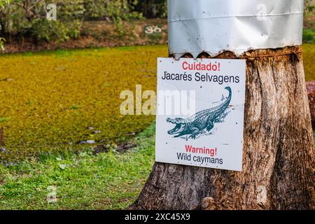 Panneau d'avertissement sur les caïmans sauvages au bord d'un lac dans le parc de la Pousada Araras Eco Lodge à Zona rural, Poconé, nord du Pantanal, Brésil Banque D'Images