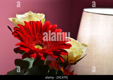 Gros plan d'un bouquet de belles fleurs de gerbera et de roses. Banque D'Images