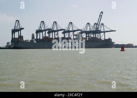 Grues à Felixstowe docks, Suffolk, UK Banque D'Images