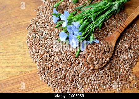 Les graines de lin se trouvent dans une cuillère en bois et une table en bois et des fleurs de lin bleu. Banque D'Images