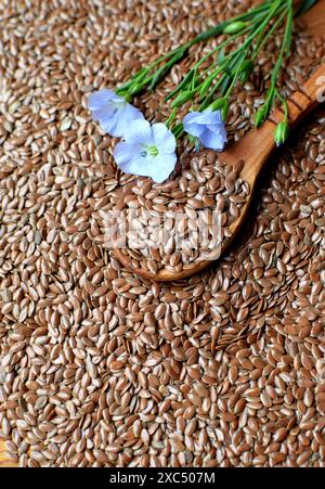 Les graines de lin se trouvent dans une cuillère en bois et une table en bois et des fleurs de lin bleu. Photo verticale Banque D'Images