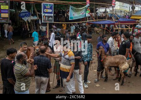 Dhaka, Bangladesh. 14 juin 2024. Les Bangladais se rassemblent sur un marché au bétail avant le festival musulman de l'Aïd al-Adha ou le festival du sacrifice. Les musulmans du monde entier se préparent à célébrer la fête annuelle de l'Aïd-al-Adha, ou la Fête du sacrifice, qui marque la fin du pèlerinage du Hadj à la Mecque et en commémoration de la volonté du prophète Abraham de sacrifier son fils pour montrer l'obéissance à Dieu. (Photo de Sazzad Hossain/SOPA images/SIPA USA) crédit : SIPA USA/Alamy Live News Banque D'Images