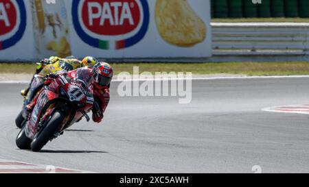 Misano, Italie. 14 juin 2024. NÂ°11 Nicolo Bulega ITA Ducati Panigale V4R ARUBA. IT Racing pendant SBK - Free Practice Pirelli Emilia-Romagna Round, World Superbike - SBK course à Misano, Italie, 14 juin 2024 crédit : Agence photo indépendante/Alamy Live News Banque D'Images