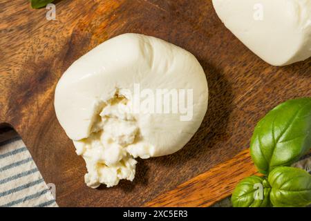 Fromage Burrata blanc crémeux biologique avec Gooey Center Banque D'Images