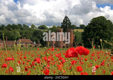 Lullingstone, Kent, Angleterre, Royaume-Uni. 14 juin 2024. Une exposition glorieuse de coquelicots et de fleurs sauvages à Lullingstone dans le Kent. Cette prairie de fleurs d'été offre une vue sur la campagne du Kent et le château de Lullingstone. Crédit : Julia Gavin/Alamy Live News Banque D'Images