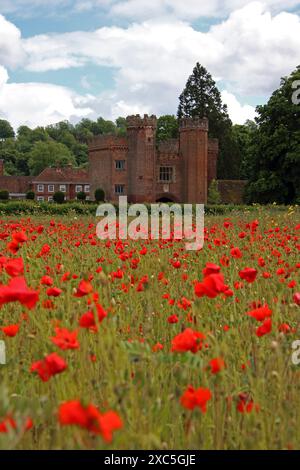 Lullingstone, Kent, Angleterre, Royaume-Uni. 14 juin 2024. Une exposition glorieuse de coquelicots et de fleurs sauvages à Lullingstone dans le Kent. Cette prairie de fleurs d'été offre une vue sur la campagne du Kent et le château de Lullingstone. Crédit : Julia Gavin/Alamy Live News Banque D'Images