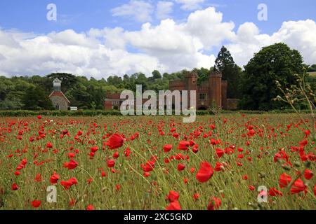 Lullingstone, Kent, Angleterre, Royaume-Uni. 14 juin 2024. Une exposition glorieuse de coquelicots et de fleurs sauvages à Lullingstone dans le Kent. Cette prairie de fleurs d'été offre une vue sur la campagne du Kent et le château de Lullingstone. Crédit : Julia Gavin/Alamy Live News Banque D'Images