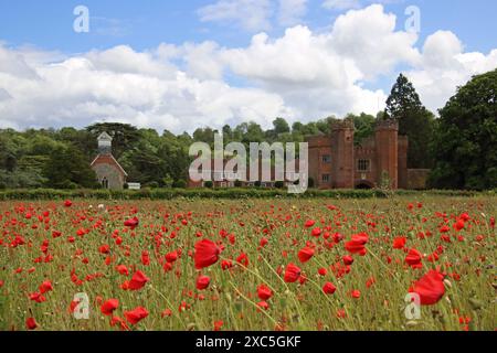 Lullingstone, Kent, Angleterre, Royaume-Uni. 14 juin 2024. Une exposition glorieuse de coquelicots et de fleurs sauvages à Lullingstone dans le Kent. Cette prairie de fleurs d'été offre une vue sur la campagne du Kent et le château de Lullingstone. Crédit : Julia Gavin/Alamy Live News Banque D'Images