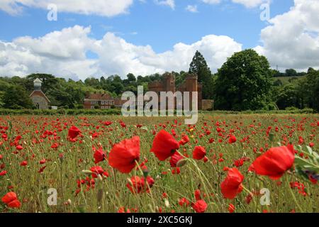 Lullingstone, Kent, Angleterre, Royaume-Uni. 14 juin 2024. Une exposition glorieuse de coquelicots et de fleurs sauvages à Lullingstone dans le Kent. Cette prairie de fleurs d'été offre une vue sur la campagne du Kent et le château de Lullingstone. Crédit : Julia Gavin/Alamy Live News Banque D'Images