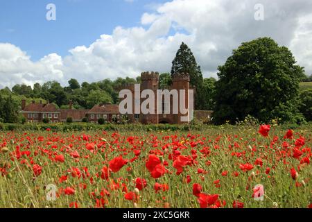 Lullingstone, Kent, Angleterre, Royaume-Uni. 14 juin 2024. Une exposition glorieuse de coquelicots et de fleurs sauvages à Lullingstone dans le Kent. Cette prairie de fleurs d'été offre une vue sur la campagne du Kent et le château de Lullingstone. Crédit : Julia Gavin/Alamy Live News Banque D'Images