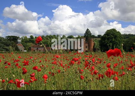 Lullingstone, Kent, Angleterre, Royaume-Uni. 14 juin 2024. Une exposition glorieuse de coquelicots et de fleurs sauvages à Lullingstone dans le Kent. Cette prairie de fleurs d'été offre une vue sur la campagne du Kent et le château de Lullingstone. Crédit : Julia Gavin/Alamy Live News Banque D'Images