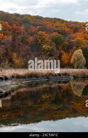 Automne Riverside avec des arbres reflets. Rivière Siverskyi Donets automnale en Ukraine Banque D'Images