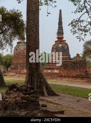 Une photo du temple de Wat Phra si Sanphet. Banque D'Images