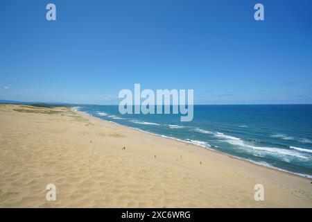 Paysage de dunes de sable de Tottori avec des dunes de sable ondulantes sous un ciel bleu clair et vibrant. L'horizon montre l'étendue infinie de sable rencontrant le bleu s. Banque D'Images