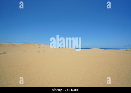 Paysage de dunes de sable de Tottori avec des dunes de sable ondulantes sous un ciel bleu clair et vibrant. L'horizon montre l'étendue infinie de sable rencontrant le bleu s. Banque D'Images