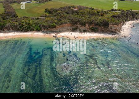 Vue aérienne d'un récif rocheux devant une côte accidentée couverte de végétation à Inverloch dans le Gippsland, Victoria, Australie. Banque D'Images